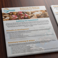 AnimalhealthEurope pledges to reduce need for antibiotics in animals