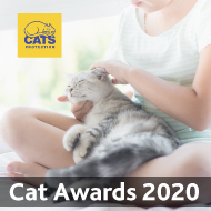Nominations open for National Cat Awards 2020