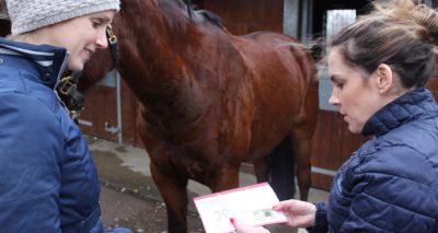 Traffic light scheme to tackle equine obesity