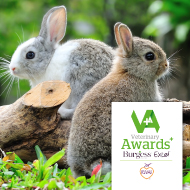 Rabbit-friendly awards open for nominations