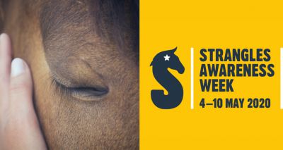 New initiative to help vets take action against strangles