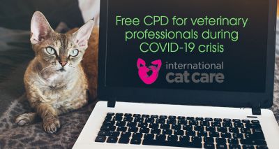 ISFM offers vets free CPD during COVID-19 lockdown