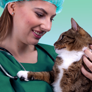 Hill's Vet Nurse Awards 2020 - get your nominations in!