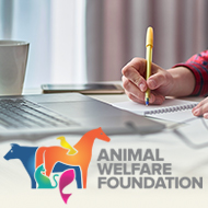 AWF announces desk-based research grants