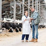Vets call for rethink on Trade and Agriculture commission