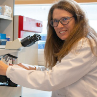 Study offers hope for equine pregnancy loss