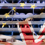 Call for 'urgent clarity' on post-Brexit vet checks