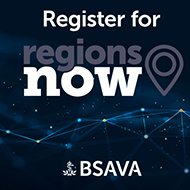 BSAVA announces virtual regional CPD 
