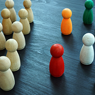 Virtual diversity and inclusion conference attracts 300 delegates