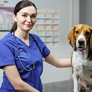 Virtual event to celebrate veterinary women in leadership