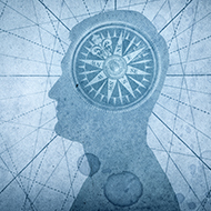 Researchers to explore vets' experiences of moral injury 