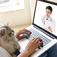 Boehringer Ingelheim invests in China's pet care market
