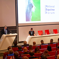 National Equine Forum introduces special COVID-19 award