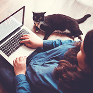 Vet Professionals offering webinars on feline health for vets