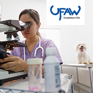 UFAW opens applications for 2021 Animal Welfare Student Scholarships