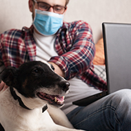 PDSA passes 500,000 remote appointment milestone