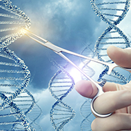 Government launches gene editing consultation