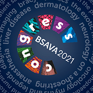 BSAVA reveals programme for virtual congress 