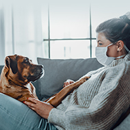 BVA responds to reports about vaccinating pets against COVID-19