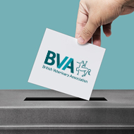 Voting now open for BVA regional representatives
