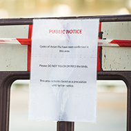 Second avian influenza case confirmed in Scotland