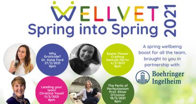 WellVet launches spring series of wellbeing talks