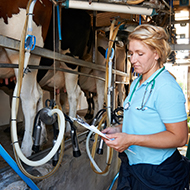 MilkSure training programme hands over administration to the BCVA