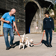 Battersea wins prestigious volunteering award