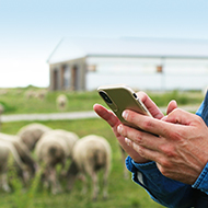 Waitrose to roll out app that tracks emotional wellbeing of farm animals