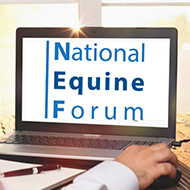 Programme released for 29th National Equine Forum