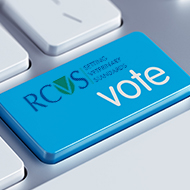 RCVS and VN Councils elections get underway