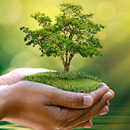 BSAVA establishes new Sustainability Working Group