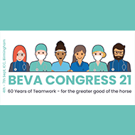 BEVA Congress returns for 2021