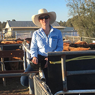 Farm vet Dr Vicky Hudson joins Harper Keele Vet School