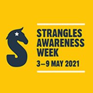 Strangles Awareness Week returns for 2021