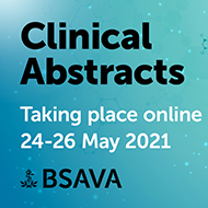 BSAVA announces online abstracts session