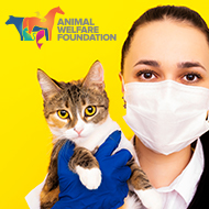 Animal welfare discussion forum returns for 2021