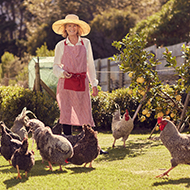 British and French hen welfare affiliation announced