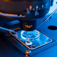 Ky9 canine antibody discovery platform complete