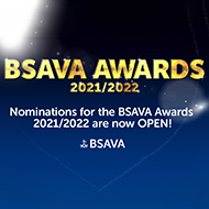 BSAVA Awards open for nominations