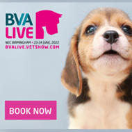 BVA Live 2022 tickets released