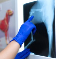 Free diagnostic imaging CPD for BSAVA members