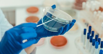 Vet-led alliance awarded funding to tackle AMR