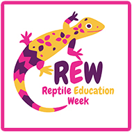 Derbyshire practice launches first Reptile Education Week
