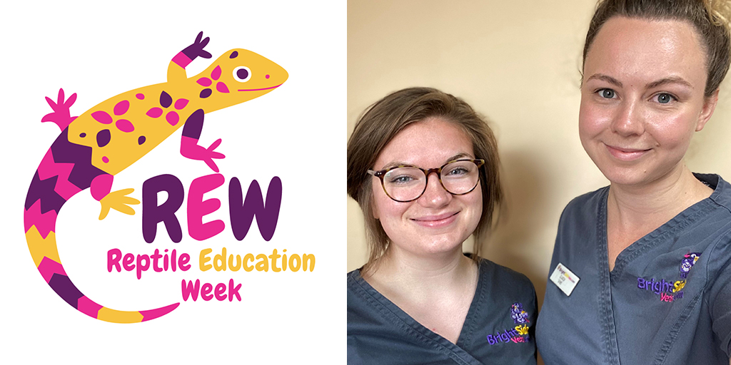Derbyshire practice launches first Reptile Education Week
