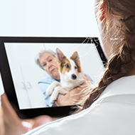 PDSA marks one million remote appointments