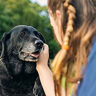 RVN views sought on senior pet care