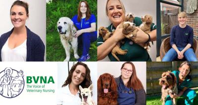 Finalists revealed for 2021 BVNA Awards
