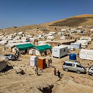 Nowzad animal rescue team evacuated from Afghanistan