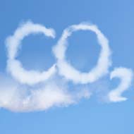 RSPCA calls for urgent action on CO2 supplies